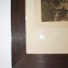 Grabado Birdnesting con marco - Imagen 6