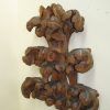 Fragmento tallado - Imagen 4