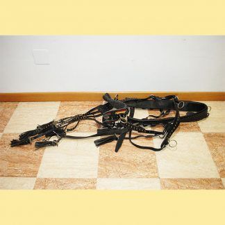 Riendas y cabezada caballos