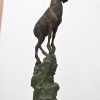 Cabra montesa, Escuela Española - Imagen 12