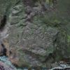 Cabra montesa, Escuela Española - Imagen 13