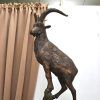 Cabra montesa, Escuela Española - Imagen 3