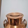 Lechera de cobre - Imagen 3