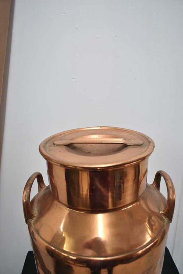 Lechera de cobre - Imagen 3