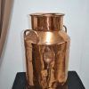 Lechera de cobre - Imagen 5