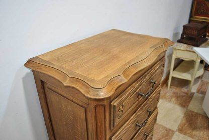 Sinfonier de roble - Imagen 5