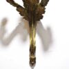 Apliques Isabelinos de bronce - Imagen 4