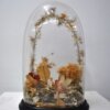 Fanal de cristal - Imagen 2