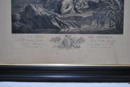 Grabado antiguo La caza del avestruz - Imagen 6