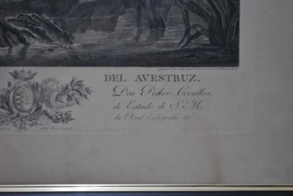 Grabado antiguo La caza del avestruz - Imagen 7
