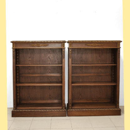 Pareja estanterías o bibliotecas