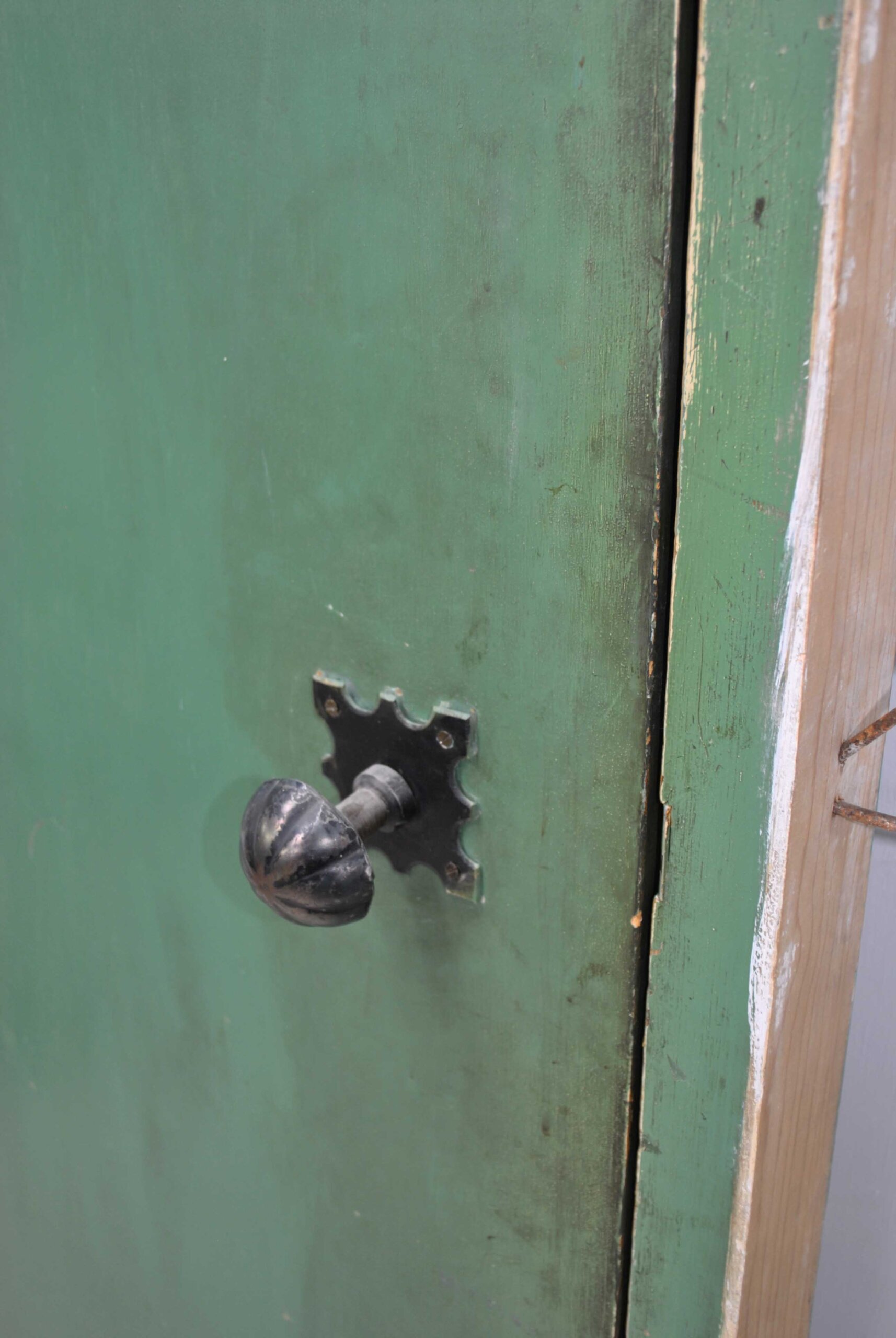 Puerta antigua de madera policromada - Imagen 10