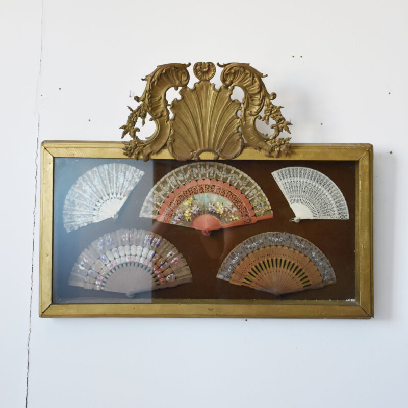 Colección de 5 abanicos antiguos en vitrina dorada