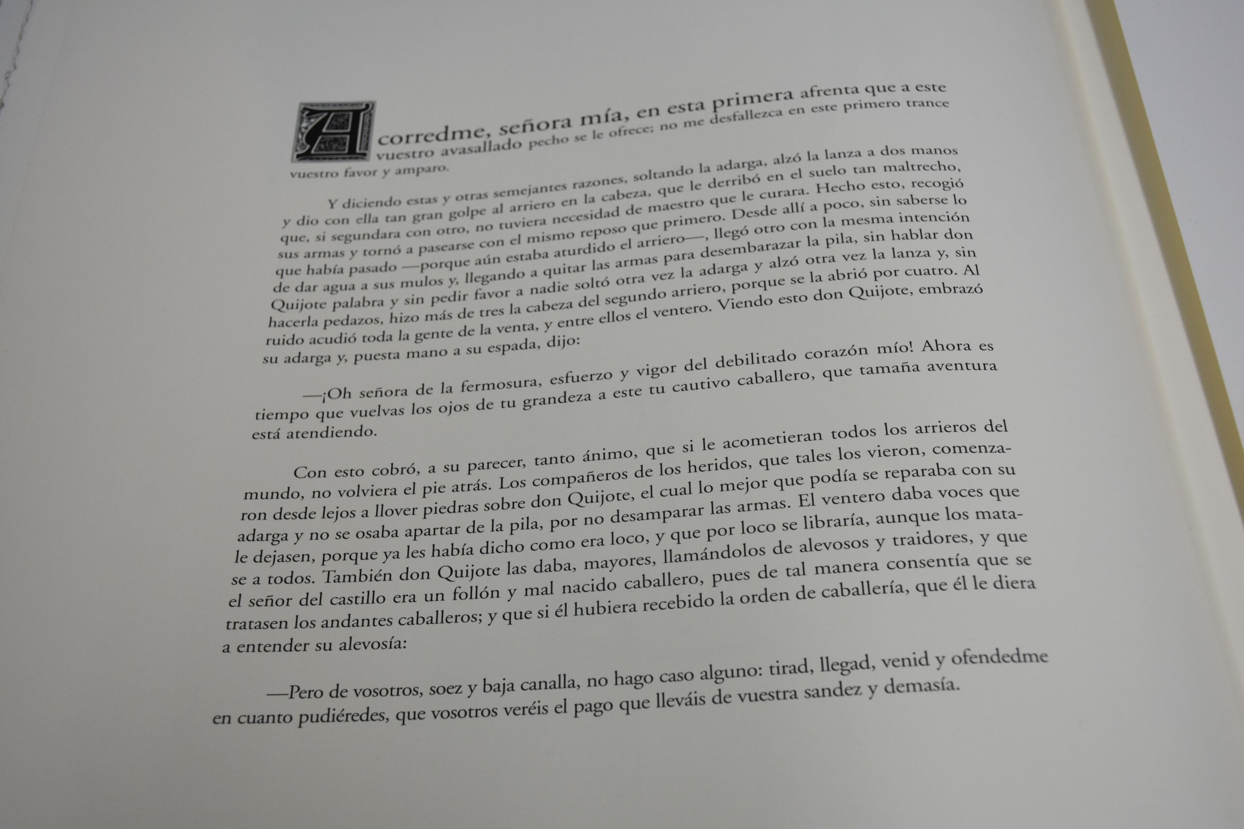 Conjunto colecciones litografías Quijote - Imagen 21